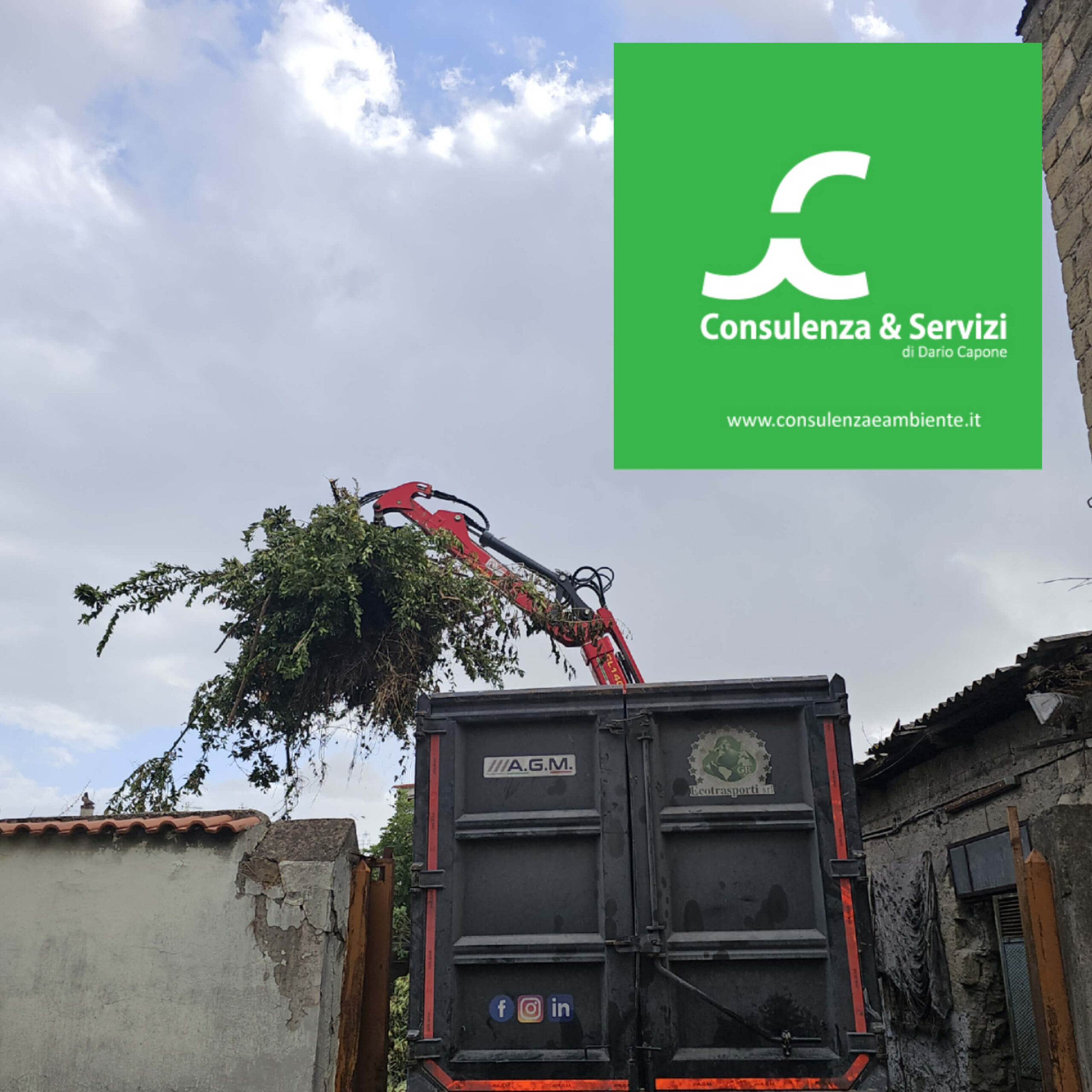 20241008_220131 copia