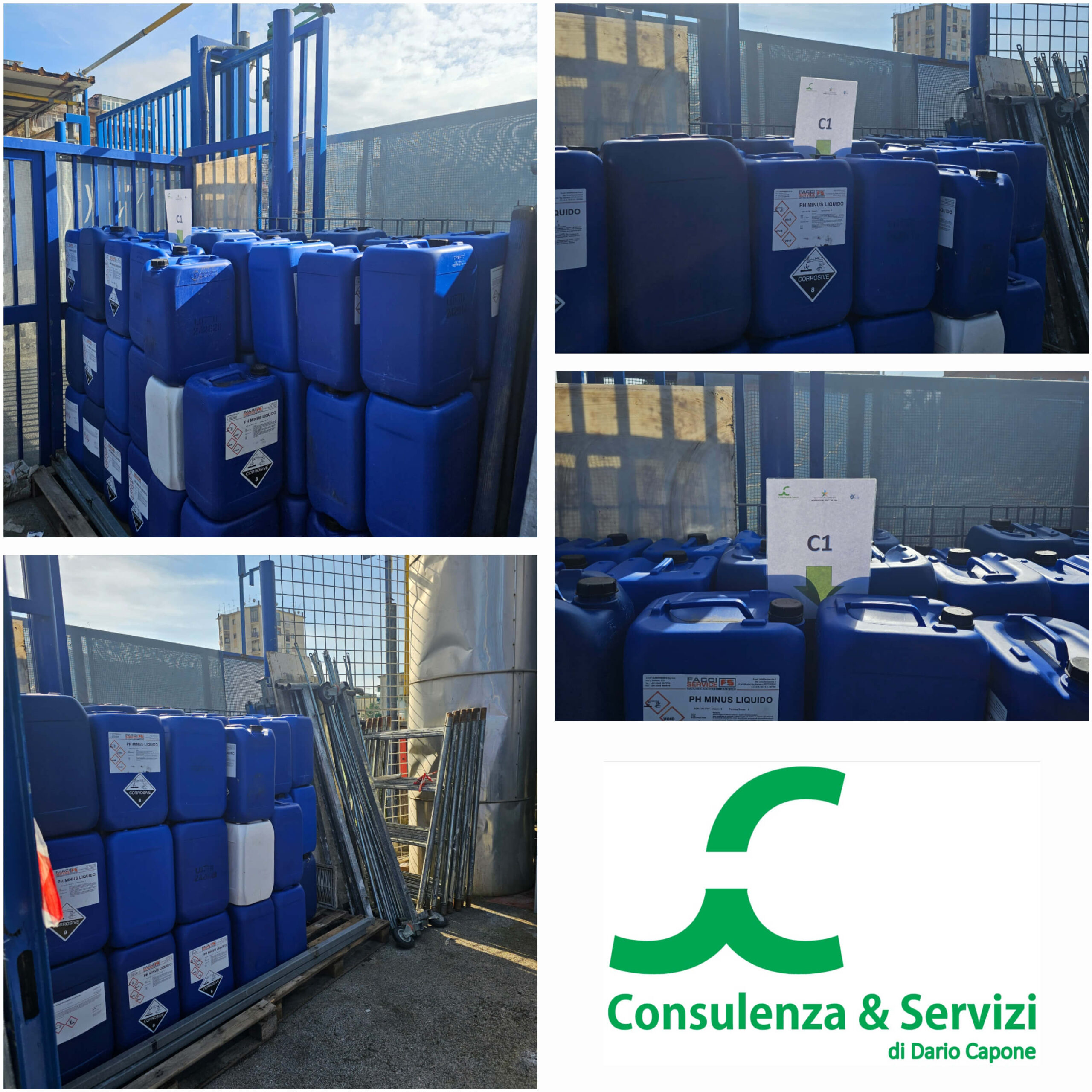 20250214_144317 copia