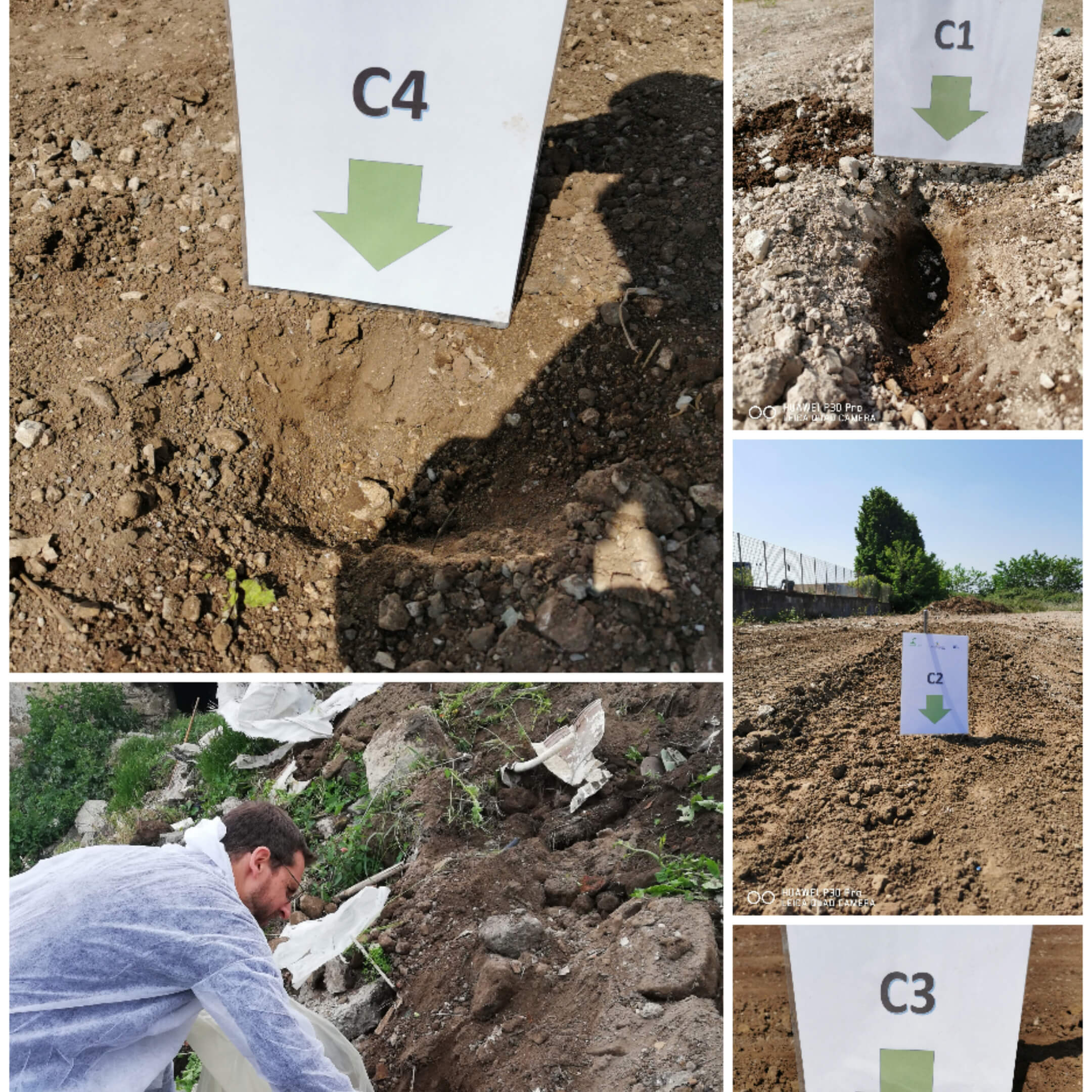 Collage_20220518_074111 copia