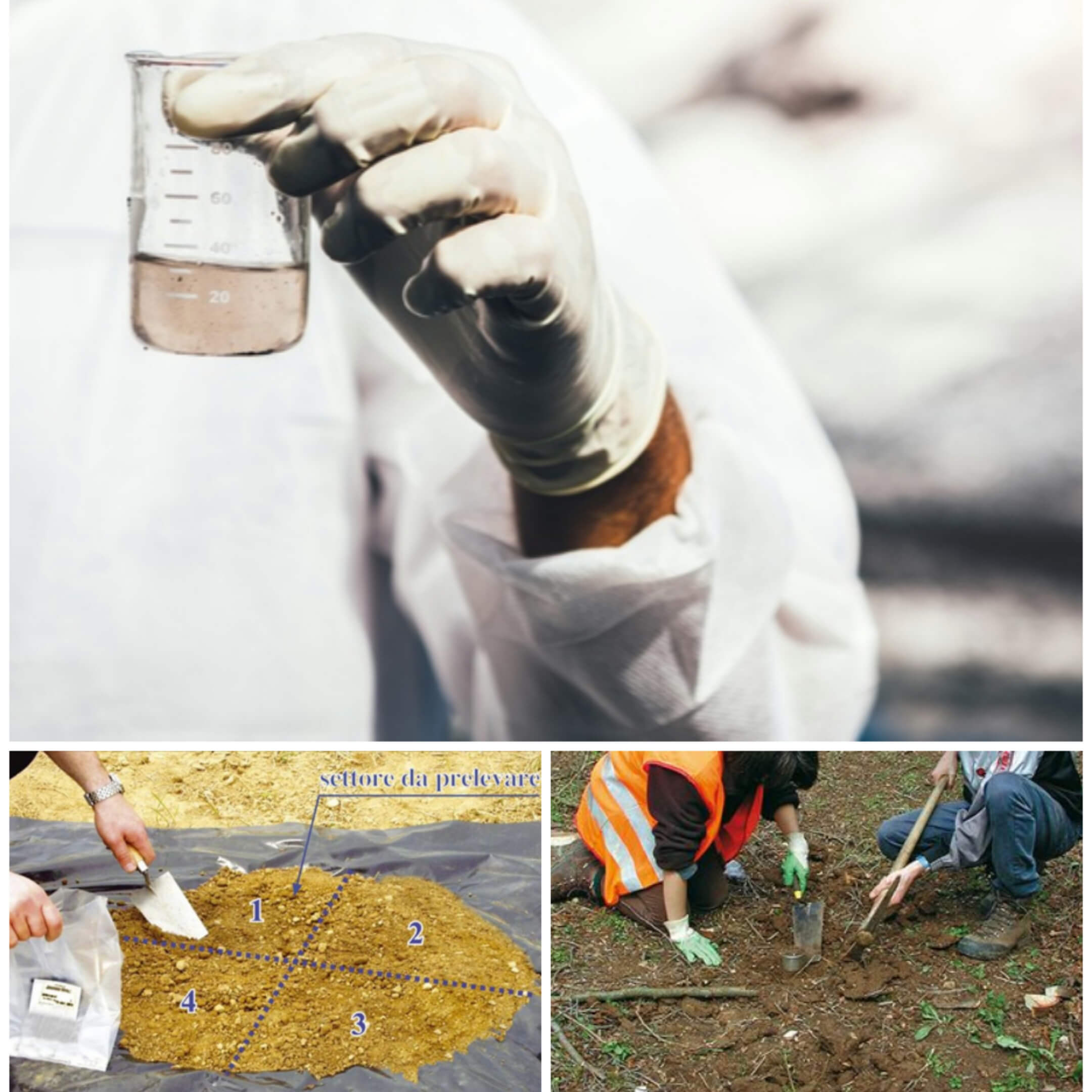 Collage_20220801_083236 copia